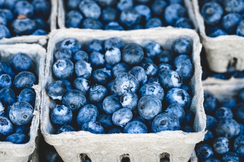 Heidelbeeren: Naturheilmittel gegen Durchfall | Bauchblubbern
